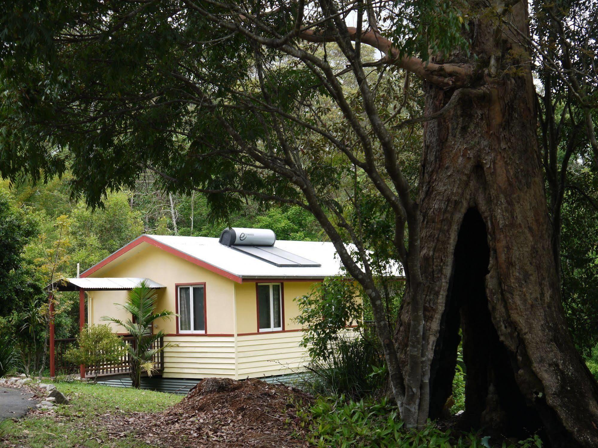 Teretre Cabins Nimbin Villa Exterior foto